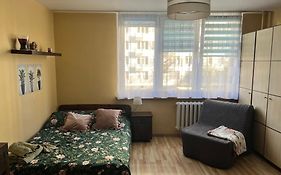 Cozy Studio in Historic Muranów